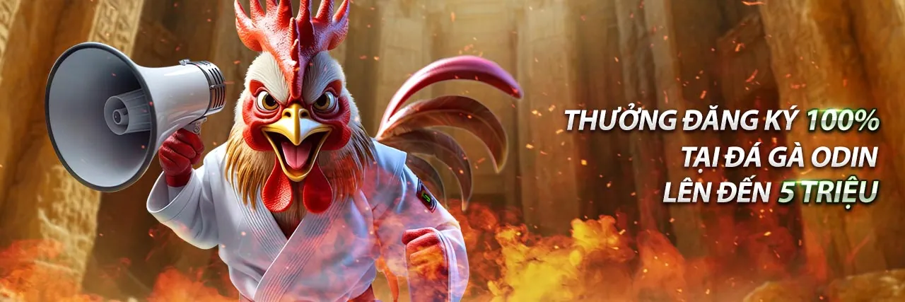 Chính sách Cookie VSWIN Đăng Nhập